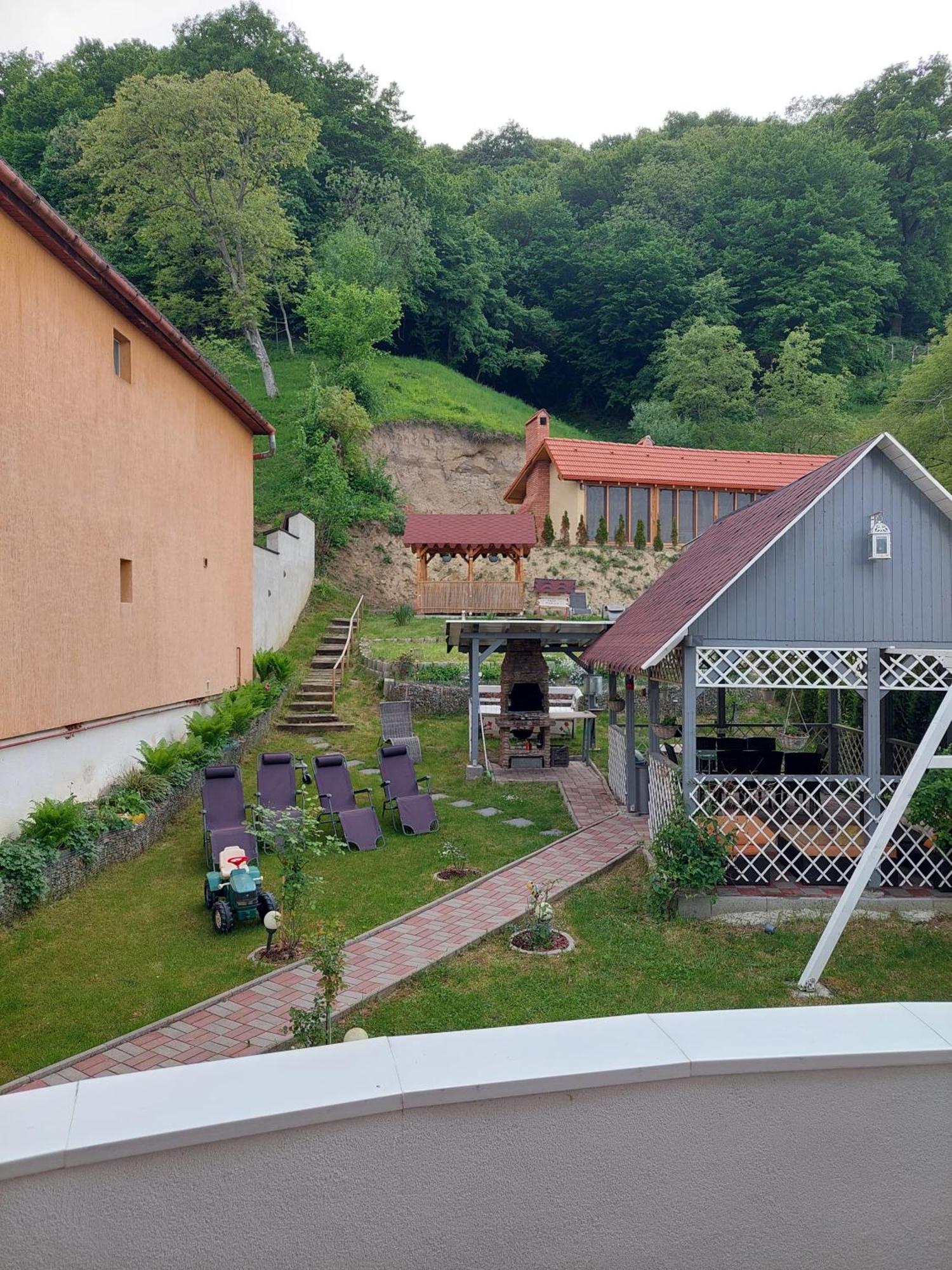 Casa Marian Hotel Sighisoara Bagian luar foto